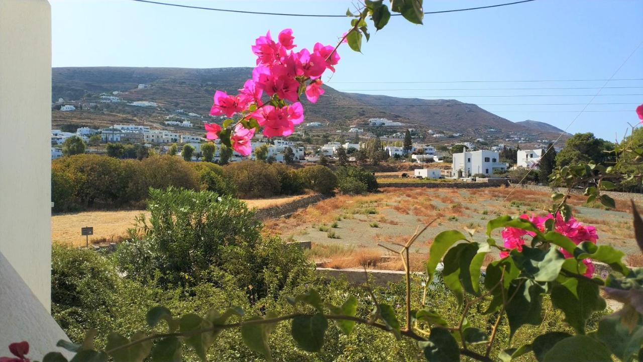Apartment Ragousis Parikia (Paros)